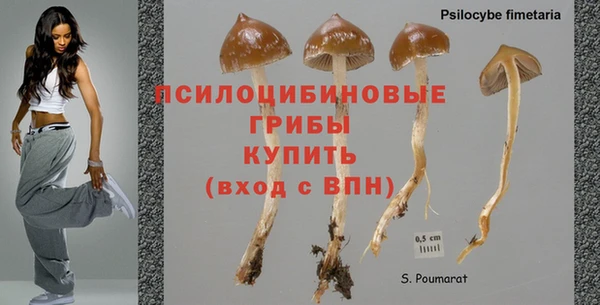 МДПВ Володарск