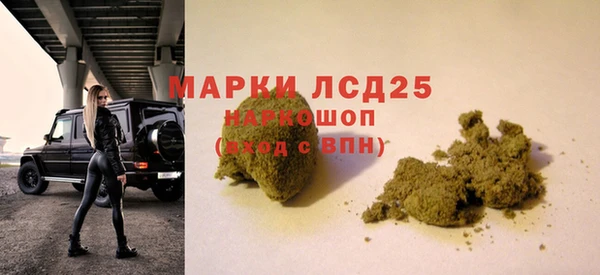 гидра Верхний Тагил