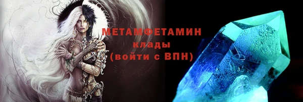 гидра Верхний Тагил