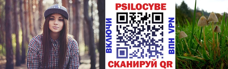 Псилоцибиновые грибы ЛСД  купить наркотик  Гай 